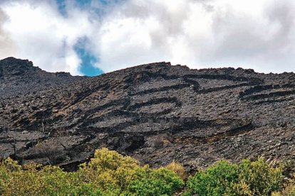 Los cortines que los vecinos de Arnado usaron para sus colmenares durante siglos, calcinados por el incendio de Gestoso.