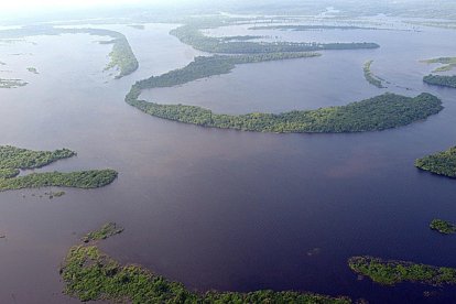 El equilibrio ecológico en la cuenca del Amazonas conserva paraísos vírgenes.