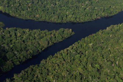 Masa forestal en el corazón del Amazonas.