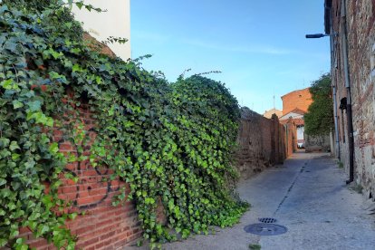 Calle Tres Mitras en León.