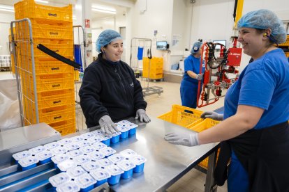 Instalaciones de la cooperativa La Fageda, que fabrica los yogures que consumía María Branyas.