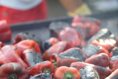 El pimiento es un cultivo exigente para el agricultor.