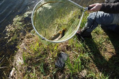 León es un referente en la pesca. Por su territorio y también por el número de practicantes. DL