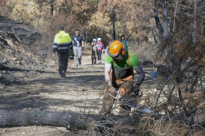 Algunas de las personas voluntarias en la facendera celebrada el pasado sábado.