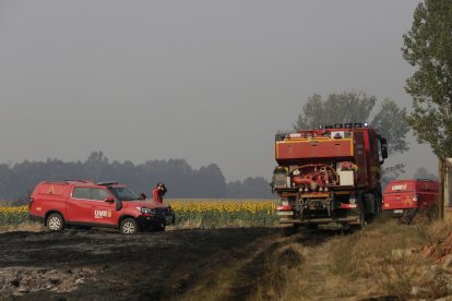 Archivo - Furgonetas y camiones de la UME, en tierra quemada tras un incendio.