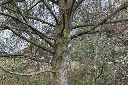 Entorno del río Jerga