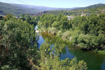 La nueva captación pretende ser en esta zona del río Sil, frente a Quereño.