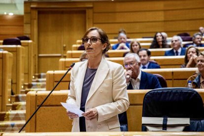 La ministra de Sanidad, Mónica García, interviene en la sesión de control mientras el senador del PP Javier Arenas se lleva un objeto a la boca en su escaño.