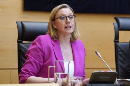 La vicepresidenta de la Junta de Castilla y León, Isabel Blanco.