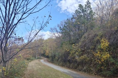Desbroce de la carrtera efectuado por la brigada de Obras.