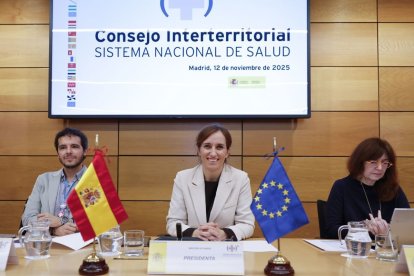 Reunión del Consejo Interterritorial de Salud, ayer.