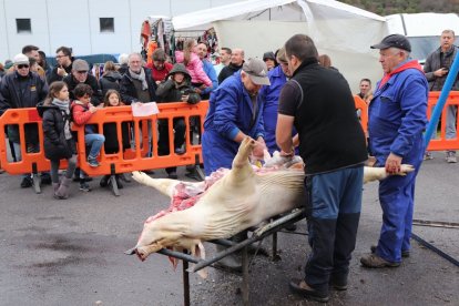 La limpieza del gocho crea mucha expectación entre el público y los niños.