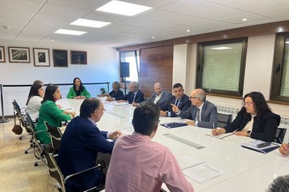 Un momento de la reunión celebra esta semana.