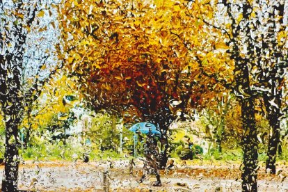 Persona bajo la lluvia.