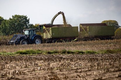 Un tractor trabaja en una tierra de cultivo en Alemania.