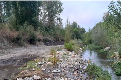 Situación en la que se encuentra actualmente el río Cúa a su paso por Carracedelo.
