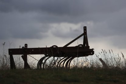 Paraje agrícola en Valderas.
