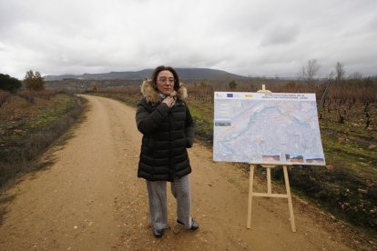 La consejera de Agricultura, Ganadería y Desarrollo Rural, María González Corral, durante su visita a las obras de la infraestructura rural de la concentración parcelaria de Castropodame (León).
