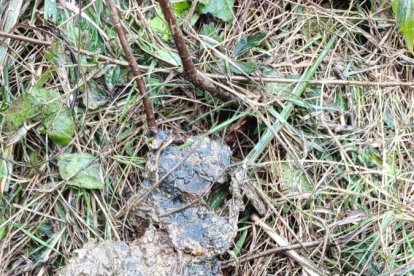 El último resto de la chatarra que había en la balsa de Berbes.