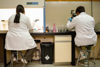 El grupo lleva cinco años investigando el Secretoma.