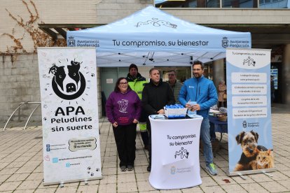Iván Alonso, en el centro, en el punto de información en el Mercado de Abastos de Ponferrada