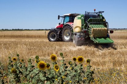 Un tractor trabaja una tierra de cultivo.