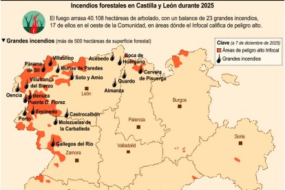 Incendios forestales en Castilla y León durante 2025 (18cmx18cm).