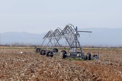 Una tierra de regadío en la provincia de León.