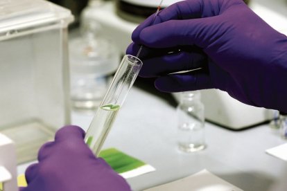 Un técnico procesa una pipeta en un laboratorio.