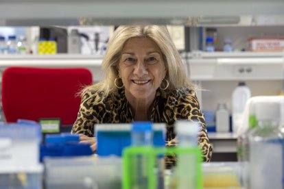 La doctora Ángeles Almeida está al frente del proyecto de investigación.