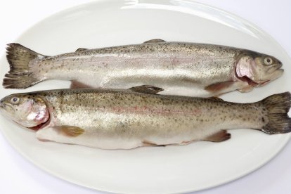 Truchas frescas, base del escabeche leonés: un plato de tradición que se puede conservar durante meses con la técnica adecuada.
