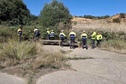 Los alumnos realizarán tareas de mantenimiento de parques, entre otras.