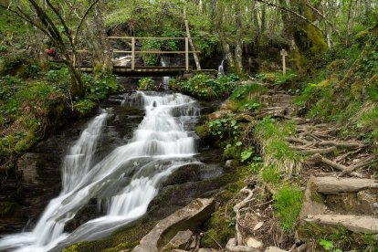 La Fervenza do Beiro es una de las muchas cascadas que salpican el recorrido por el hayedo, donde el agua acompaña al caminante como un hilo narrativo natural.