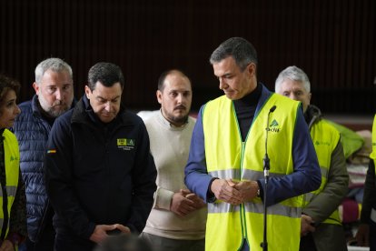El presidente del Gobierno, Pedro Sánchez, atiende a los medios antes de trasladarse al lugar del accidente. A 19 de enero de 2026, en Adamuz, Córdoba (Andalucía, España).