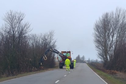 Actuaciones realizadas en la zona.