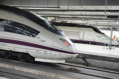 Trenes de alta velocidad parados en la estación de Sats, en Barcelona.