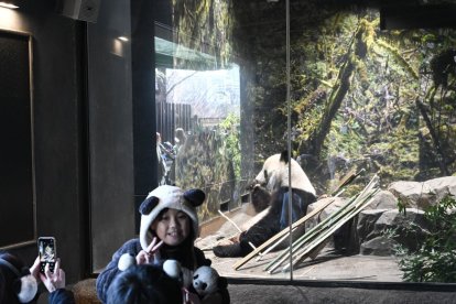 Numeroso público asiste al zoológico de Ueno en Japón para despedirse de los entrañables pandas.