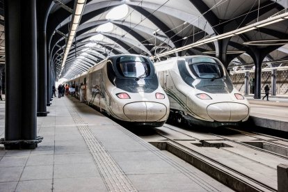Dos de los llamados 'Ave del desierto' en la estación de Medina.