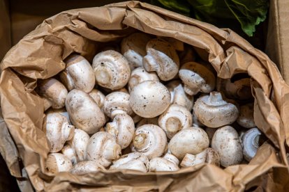Champiñones enteros y frescos, perfectos para preparar la receta de Arguiñano con morcilla en solo unos minutos.