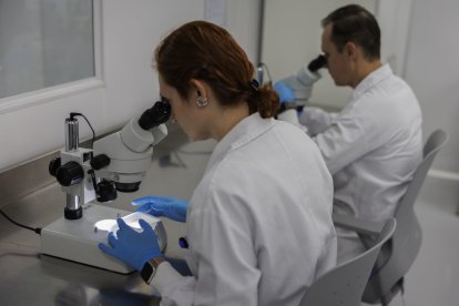 Dos personas trabajando en un laboratorio.