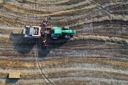 Un tractor pasa por unas hileras de paja sobrante tras la recolección de cereal.
