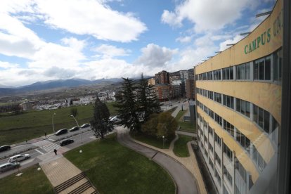PILAR MARQUÉS Vicerrectora del Campus de Ponferrada de la ULE