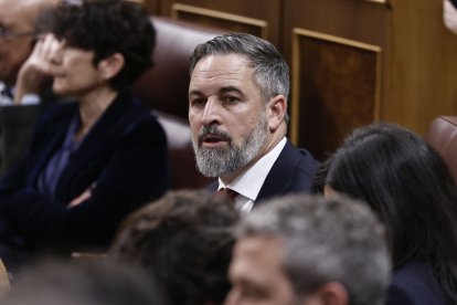 Santiago Abascal durante el pleno del Congreso, este miércoles.