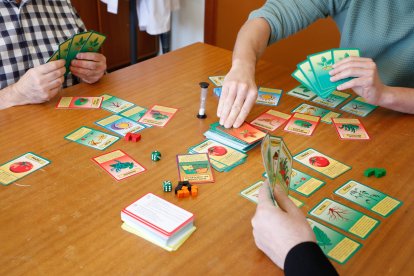 El juego didáctico Planta, ideado por investigadores de la Universidad de León.