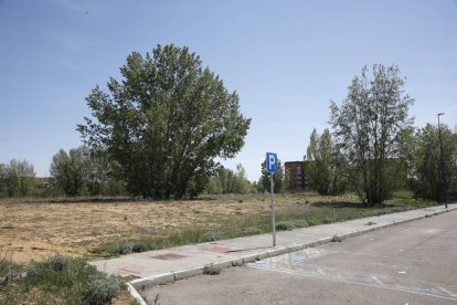 La parcela en la que se construirá el centro formativo está situado junto al aparcamiento de Cronista Luis Pastrana.