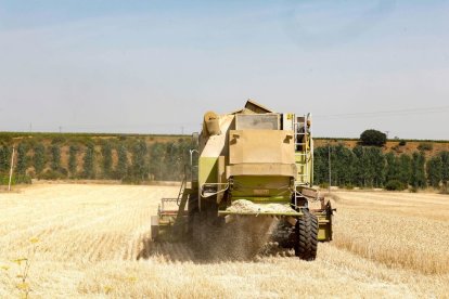 Un tractor realiza labores del campo.