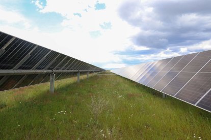 El complejo cuenta con 350.000 placas solares repartidas en 310 hectáreas.
