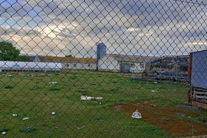 El techo de las viejas naves ya se está desmontando para un complejo tecnológico de recría de última generación.