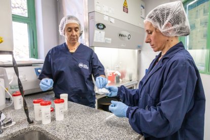Argentina envió a países de África y Europa insumos para pruebas de diagnóstico.
