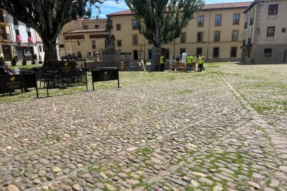 Momento del montaje